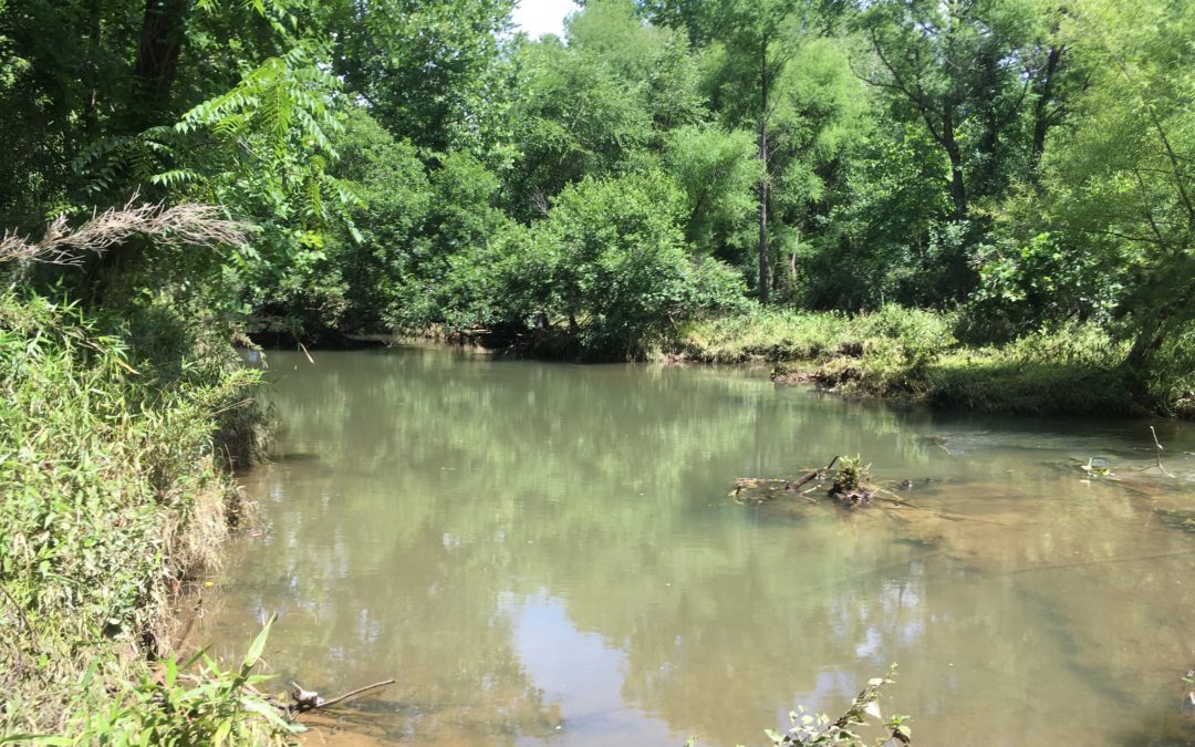 Foragable Community Goes with the Flow – River Restoration of Old Catawba River at Catawba Run